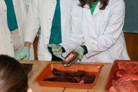 20231205_092404690_iOS