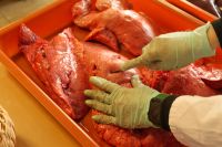 20231205_125044980_iOS