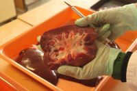 20231205_125113390_iOS