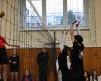 IMG_5351
