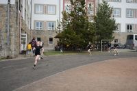 DSC02732