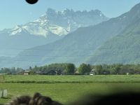 IMG_8978