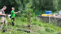 IMG_20260605_104029