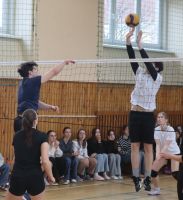 IMG_0486